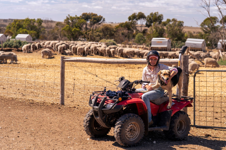 Don’t let a fun ride end in tragedy this summer